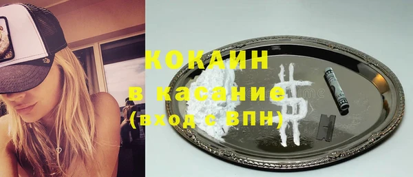 индика Волосово