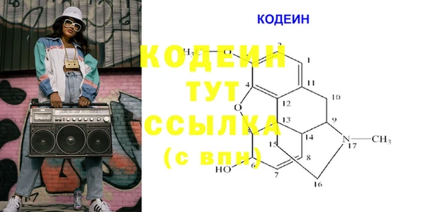 индика Волосово