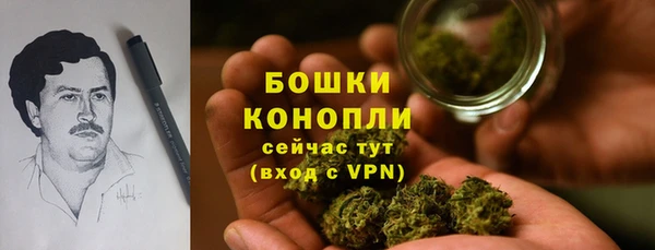 индика Волосово