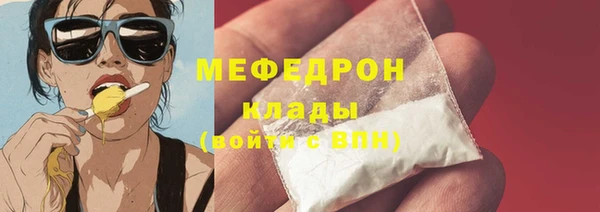 индика Волосово