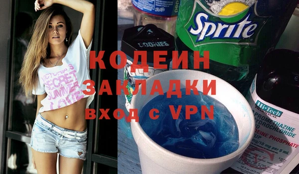 индика Волосово