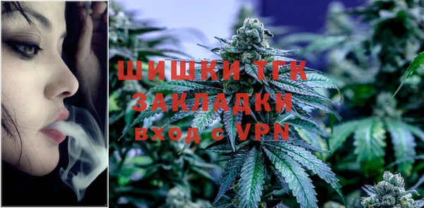 индика Волосово