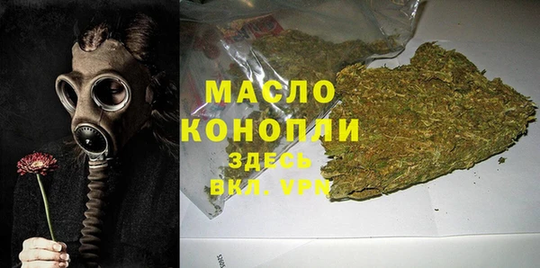 индика Волосово