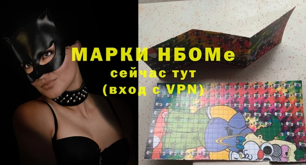 индика Волосово