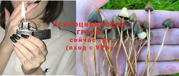 индика Волосово