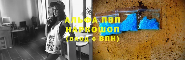 индика Волосово