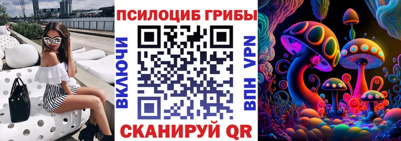 Галлюциногенные грибы Psilocybine cubensis  Купить  Новокубанск 